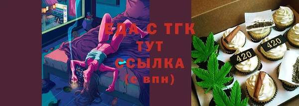 индика Абаза