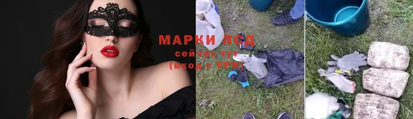 индика Абаза