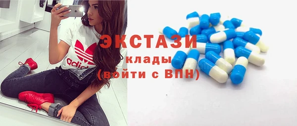индика Абаза