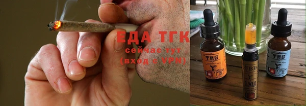 индика Абаза