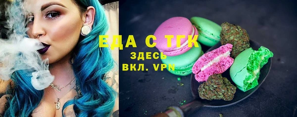 индика Абаза